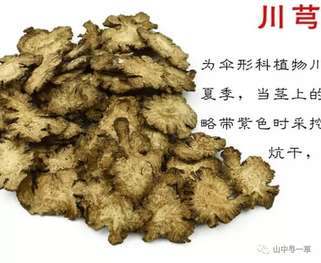 白芍的作用和功效(川芎的作用和功效)