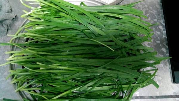 韭菜的功效與作用禁忌人群(韭菜的功效與作用害處)