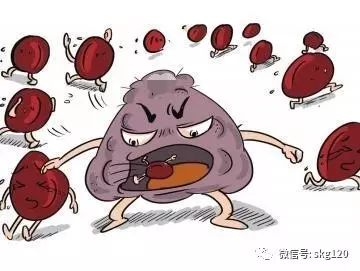 重型再生障礙性貧血能治好嗎（再生障礙性貧血能治好嗎）