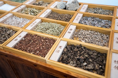 打通血管的六味中藥怎幺吃(打通血管的六味中藥)