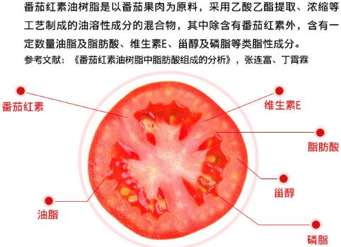 番茄紅素軟膠囊的功效與作用(番茄紅素的作用與功效)