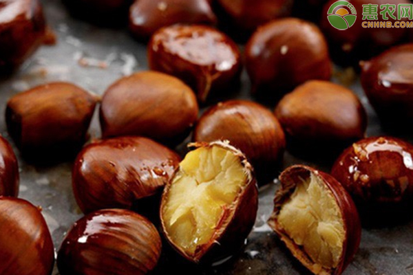 板栗的功效與作用禁忌人群(板栗的功效與作用禁忌)