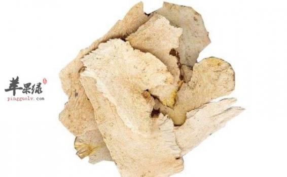 五指毛桃和土茯苓的副作用(茯苓的副作用)