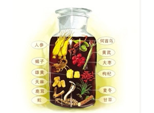 養生藥酒配方大全泡酒之家(經典養生藥酒配方大全)