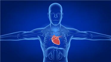 心肌炎的早期警告信號(心肌炎是熬夜引起的嗎)