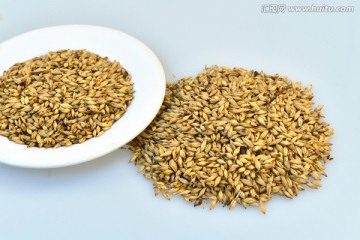 炒谷芽的功效和作用(炒麥芽的功效和作用)