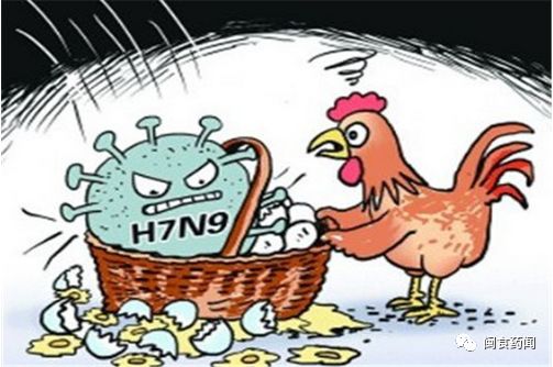 h7n9禽流感病毒是什么病毒(h7n9禽流感的癥狀)