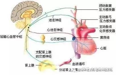神經官能癥治愈經歷知乎(神經官能癥自愈經驗)