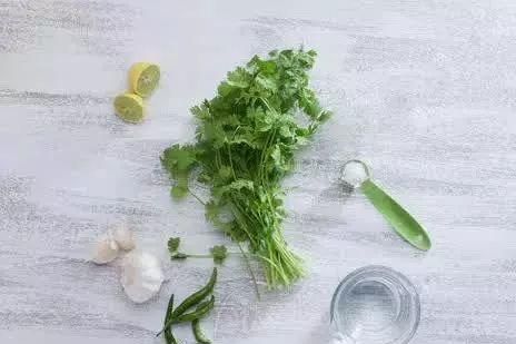 香菜煮水的功效與作用用法用量（香菜煮水的功效與作用）