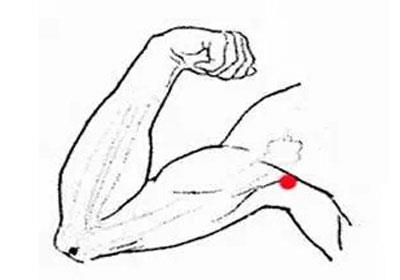 人體經(jīng)絡(luò)準(zhǔn)確位置圖和作用(人體經(jīng)絡(luò)準(zhǔn)確位置圖和作用高清圖)