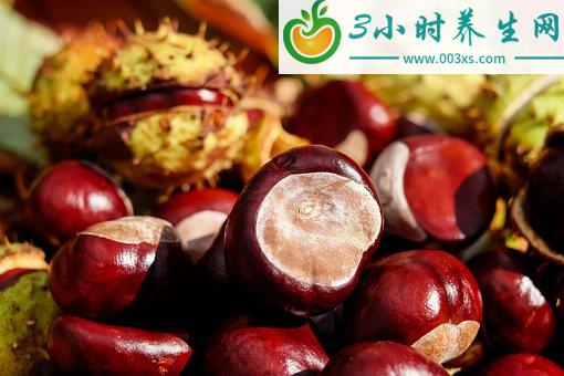 栗子的功效與禁忌(板栗的功效和禁忌)