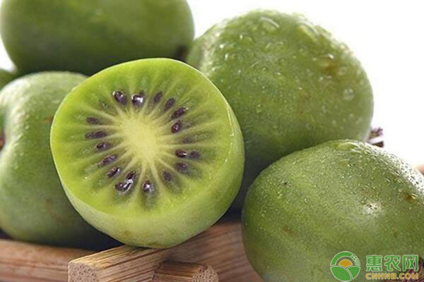 獼猴桃治什么病最快(獼猴桃治什么病最快每天吃兩個獼猴桃多久對皮膚有效)