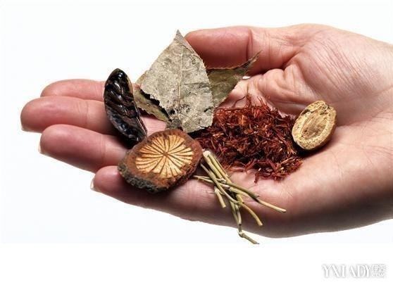 車前子的神奇功效與作用(車前子的功效與作用及禁忌的功效與作用)