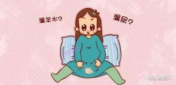 怎樣判斷自己是不是懷孕(怎樣判斷自己是不是懷孕了前兩個月)