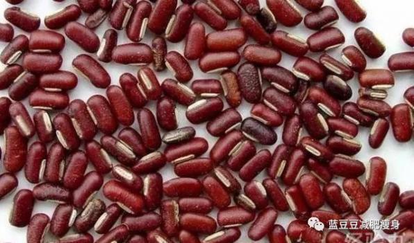 常吃赤小豆的危害(赤小豆常吃對身體有影響嗎)