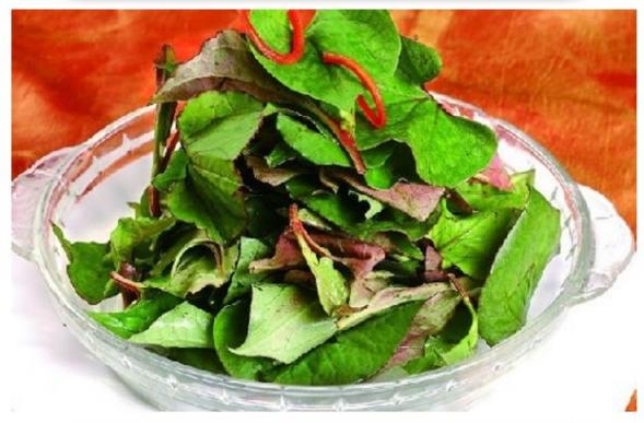 肺部腫瘤最怕的10種食物(中醫治療肺腫瘤最佳治療方法)