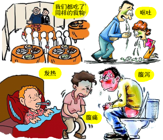 食物中毒自己能好嗎(中毒后吃什么解毒最快)