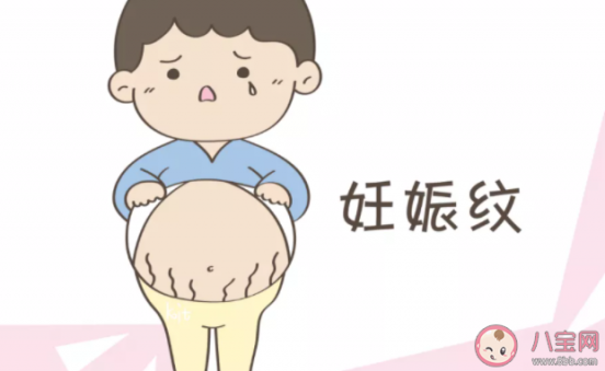 懷孕了有什么特征（狗狗懷孕了有什么特征）