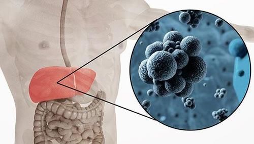肝癌一般能撐多久(肝癌一般能撐多久70歲)