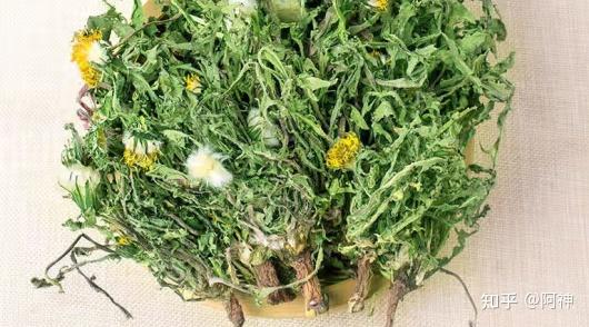 蒲公英加一物可治咽炎(蒲公英配什么治療咽炎)