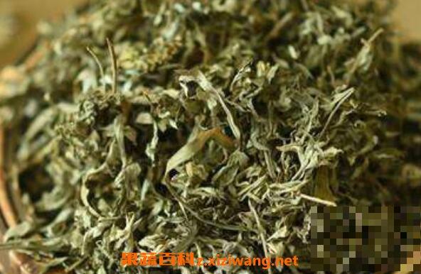 經常用艾葉泡腳有什么好處與壞處(艾葉泡腳降火還是上火)