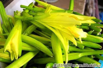 鮮黃花菜的正確食用方法(鮮黃花菜的正確食用方法)