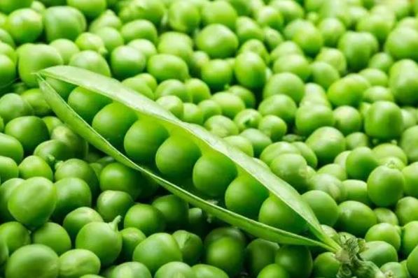 十大豆類營養排名(十大豆類營養排名前十)