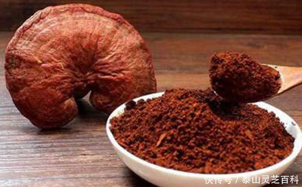 靈芝是清熱還是上火(靈芝的正確吃法與用量)