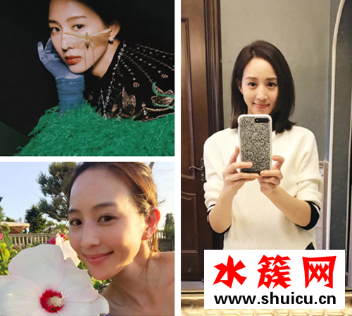 如懿傳張鈞甯的臉