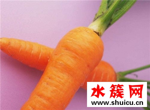 春季養生必吃十種食物 春季吃什么好 春季養生必吃十種食物