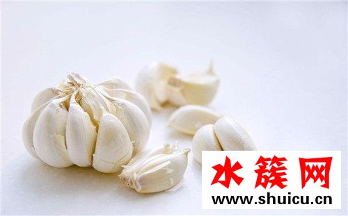 春季養生必吃十種食物 春季吃什么好 春季養生必吃十種食物