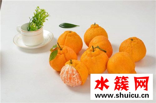 春季養生必吃十種食物 春季吃什么好 春季養生必吃十種食物