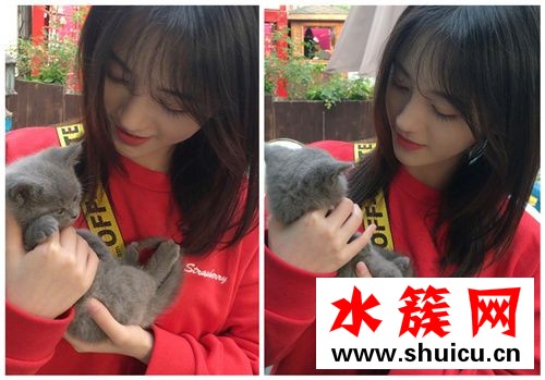 從顏值到演技都超級像!鞠婧祎是在用生命模仿鄭爽嗎? 鞠婧祎演技像鄭爽