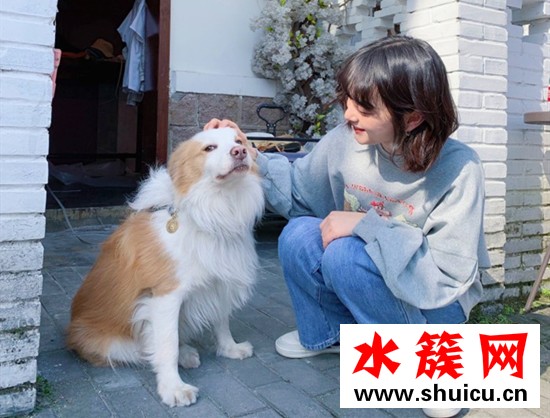 2019秋冬短發(fā)范本推薦