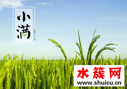 小滿節氣吃什么食物 2018小滿養生菜 小滿節氣吃什么食物