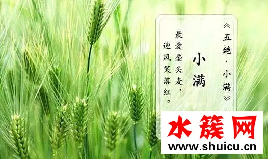 小滿節氣吃什么食物 2018小滿養生菜 小滿節氣吃什么食物