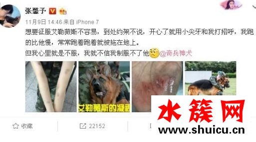 張馨予訓狗慘被咬是怎么回事