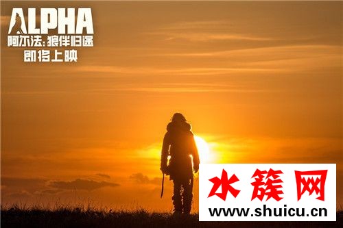 阿爾法：狼伴歸途什么時候上映