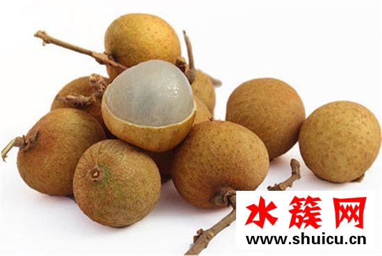 桂圓和龍眼的區別圖片