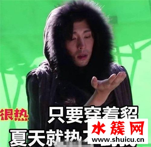 貂哥尋妻是什么梗 貂哥尋妻什么意思 貂哥尋妻是什么梗