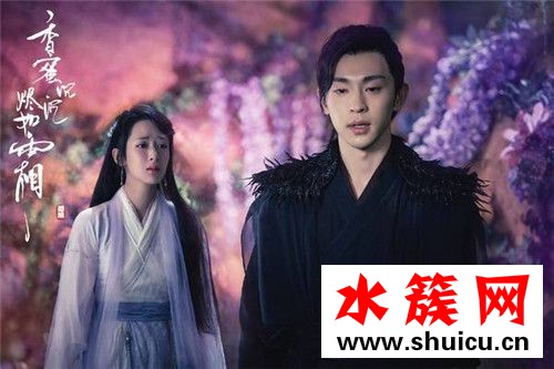 貂哥尋妻是什么梗 貂哥尋妻什么意思 貂哥尋妻是什么梗