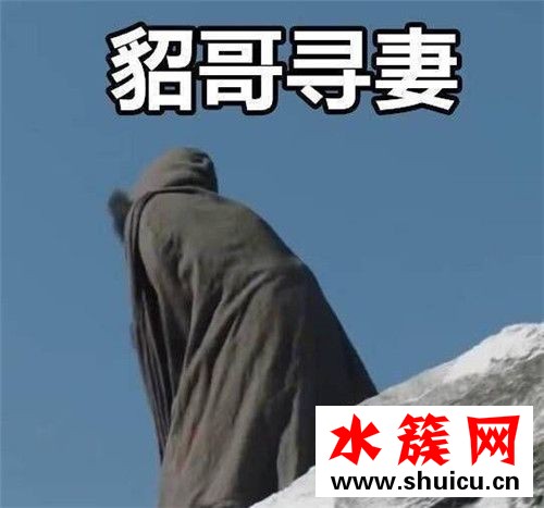 貂哥尋妻是什么梗 貂哥尋妻什么意思 貂哥尋妻是什么梗