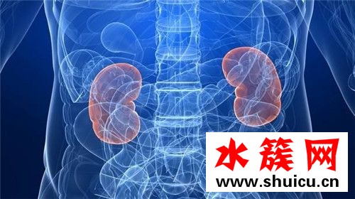 8個信號說明腎臟病了