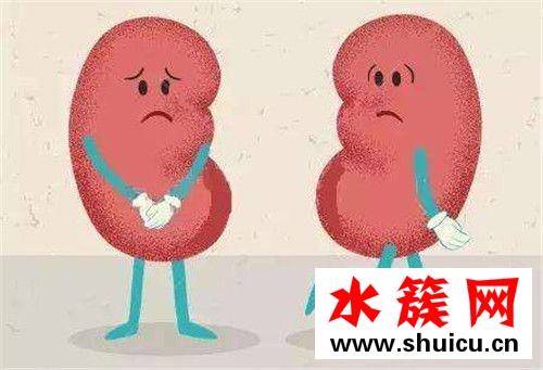8個信號說明腎臟病了