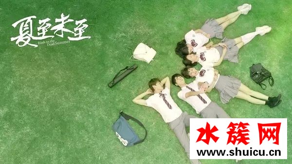 夏至未至小說詳細(xì)內(nèi)容簡介