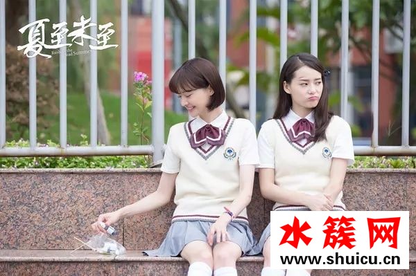 夏至未至小說詳細(xì)內(nèi)容簡介