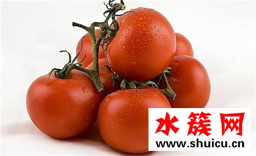 可不可以空腹吃番茄