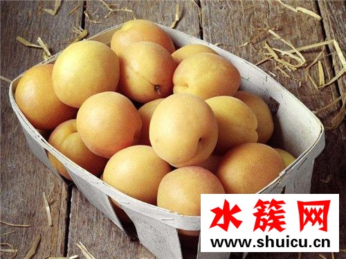 杏子沒熟能吃嗎