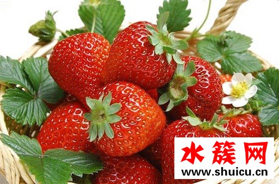 祛斑的方法有哪些，怎樣能快速祛斑