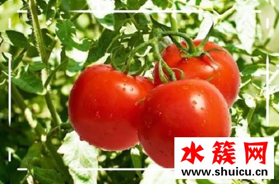 祛斑的方法有哪些，怎樣能快速祛斑